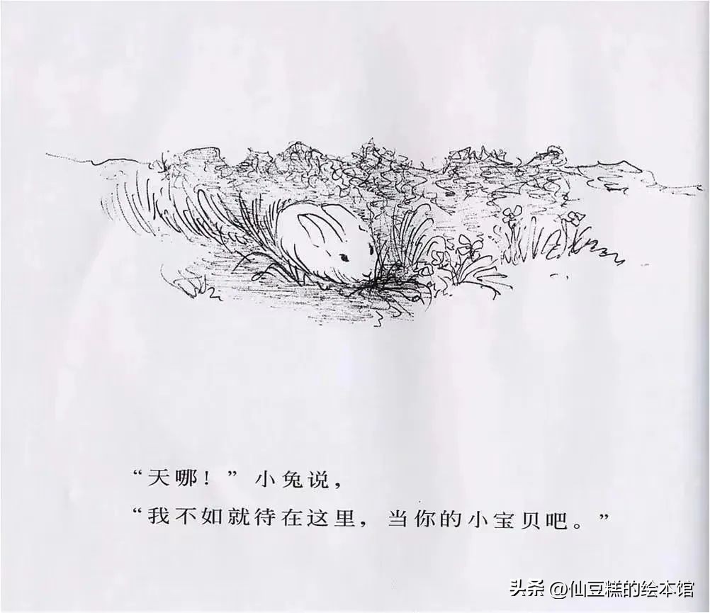 绘本阅读成长路上的陪伴,绘本推荐3-6岁绘本故事亲情