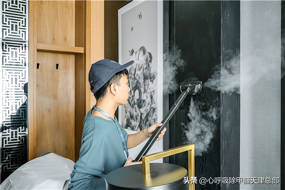 浙大冰虫除甲醛加盟项目靠谱吗,金山区靠谱的除甲醛加盟实体工厂