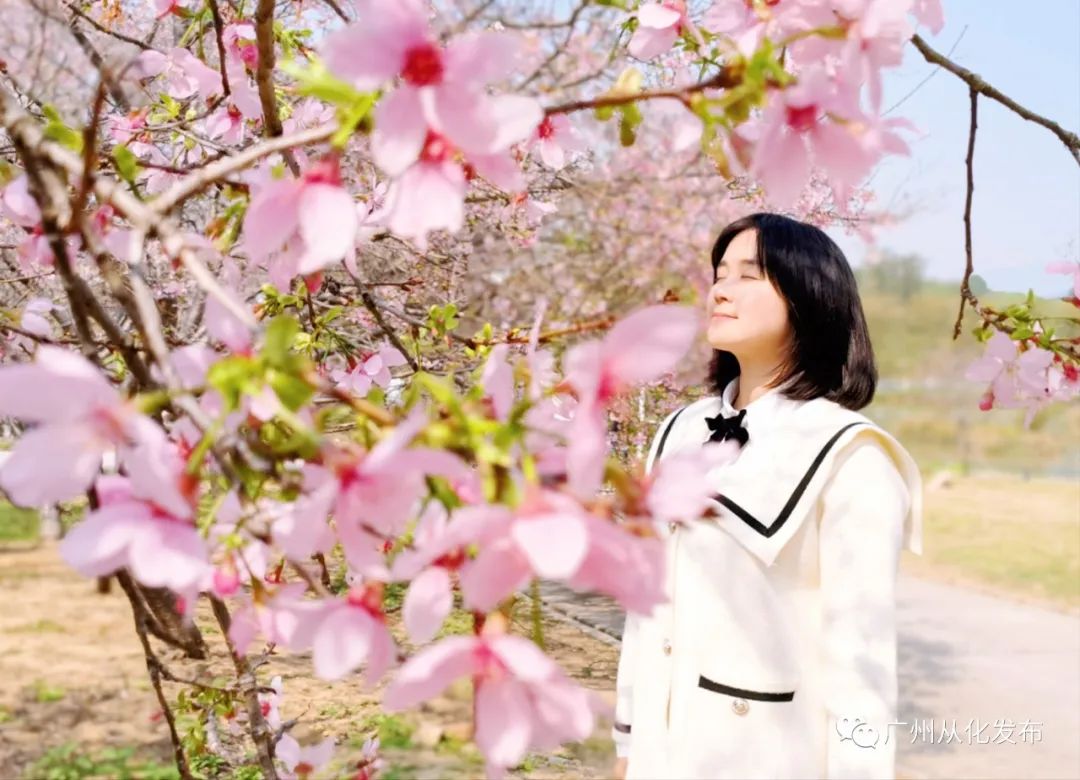 两人从化两天一夜游玩攻略,去从化玩的攻略