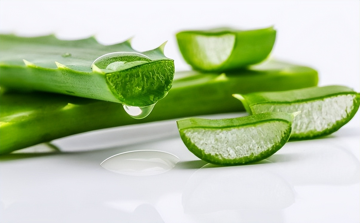 鏃ユ湰灏忎紬鍝佺墝,鍐烽棬鏃ユ湰灏忎紬鍝佺墝