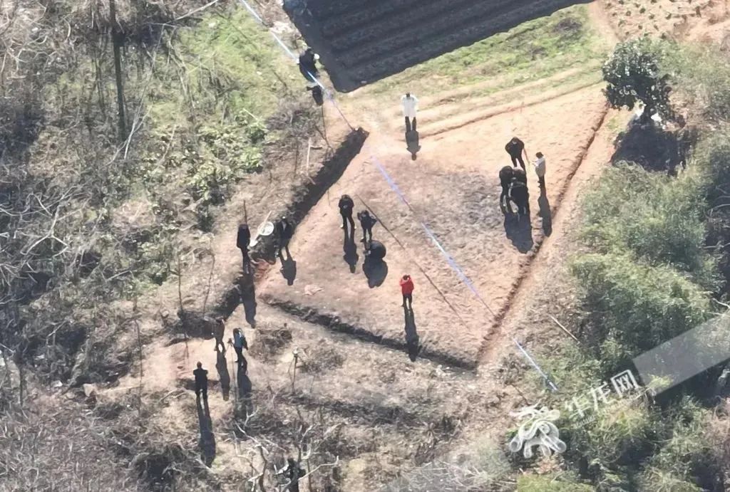 昨夜今晨|天津中小学开学时间|本市再添12家大型购物中心|胡鑫宇事件更多细节|世卫组织最新声明