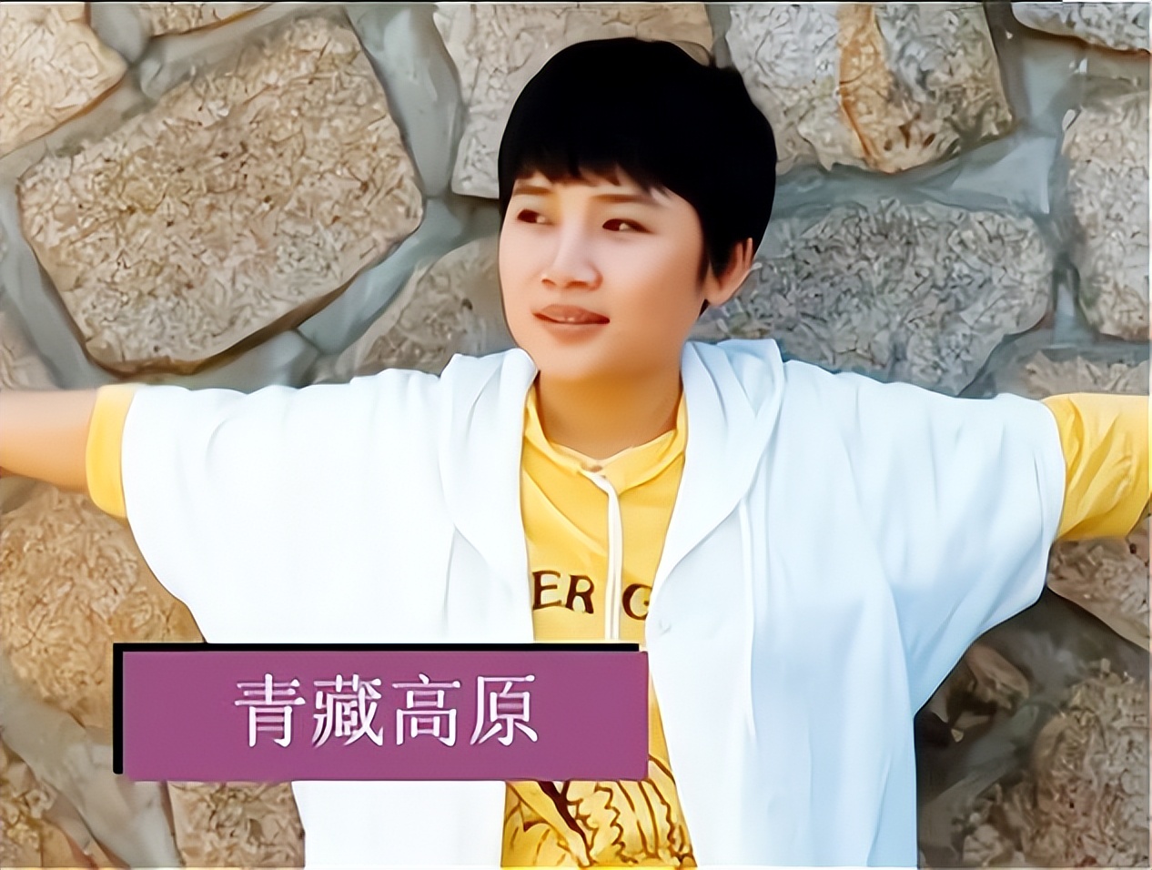 李娜出家后生活现状,李娜出家25年老母亲陪她住寺庙