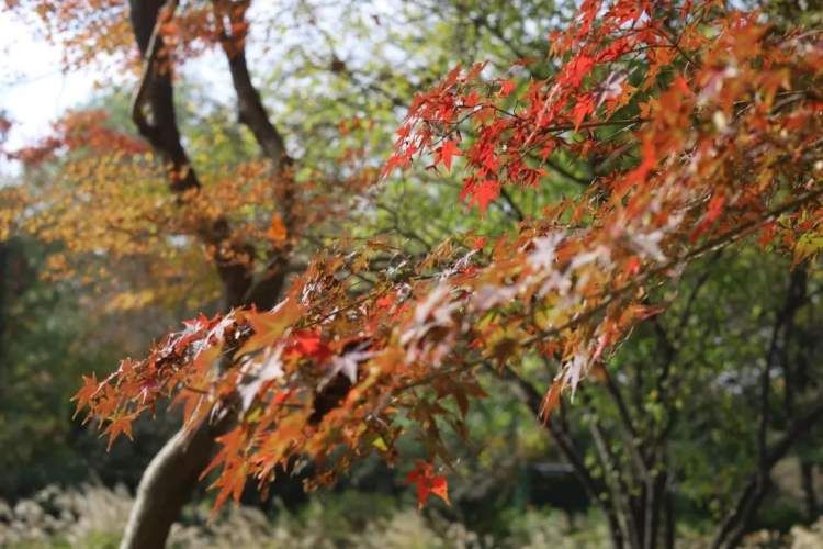 最值得打卡的动物园,国庆必打卡动物园推荐