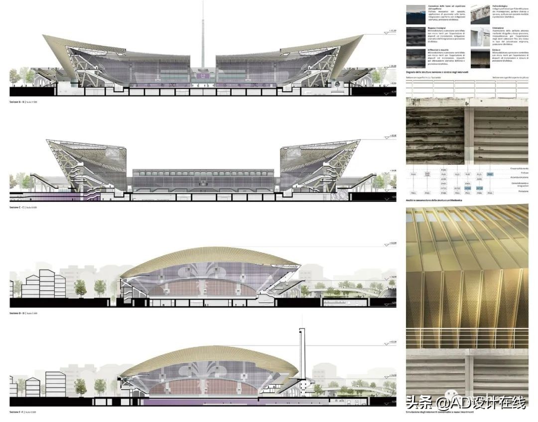 弗兰基球场改建,佛罗伦萨弗兰基球场