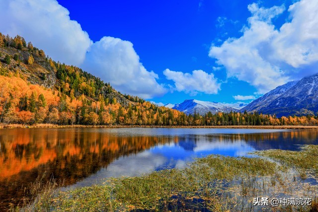 网络信息带来的利与弊,如何看待网络信息焦虑