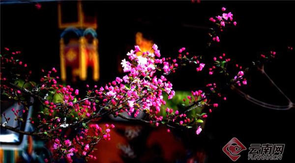 三八妇女节值得纪念的日子,一年一度的三八妇女节即将到来