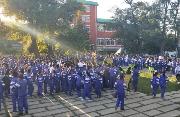 文科生本科毕业最容易就业的专业,文科本科男生报哪些专业好就业