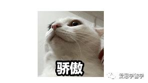 拥有巨大上升潜力的英国大学排名,2024年qs英国大学排名完整版中文