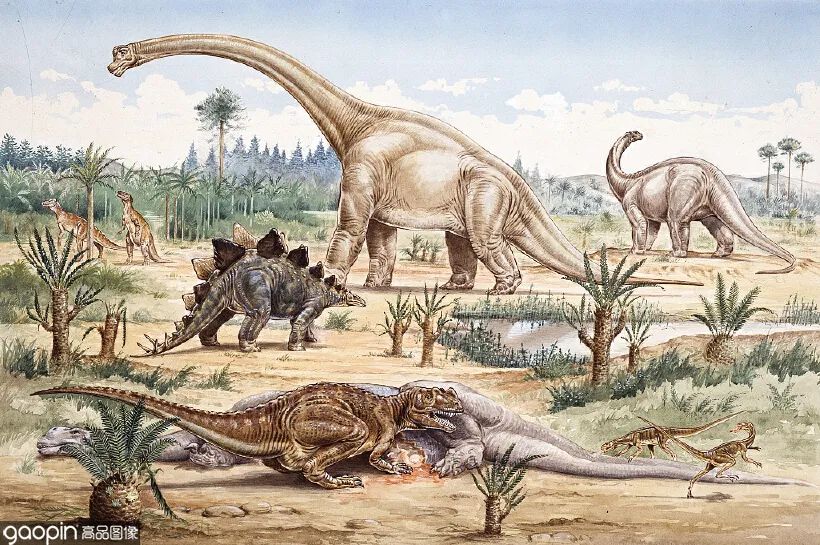 侏罗纪世界进化3恐龙打架,恐龙电影侏罗纪3