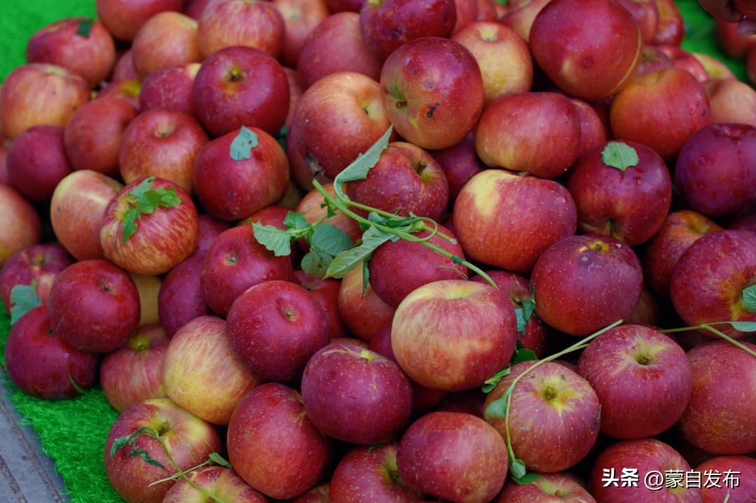 坐上高铁游蒙自|天为罗帐地为毡满天星斗伴我眠