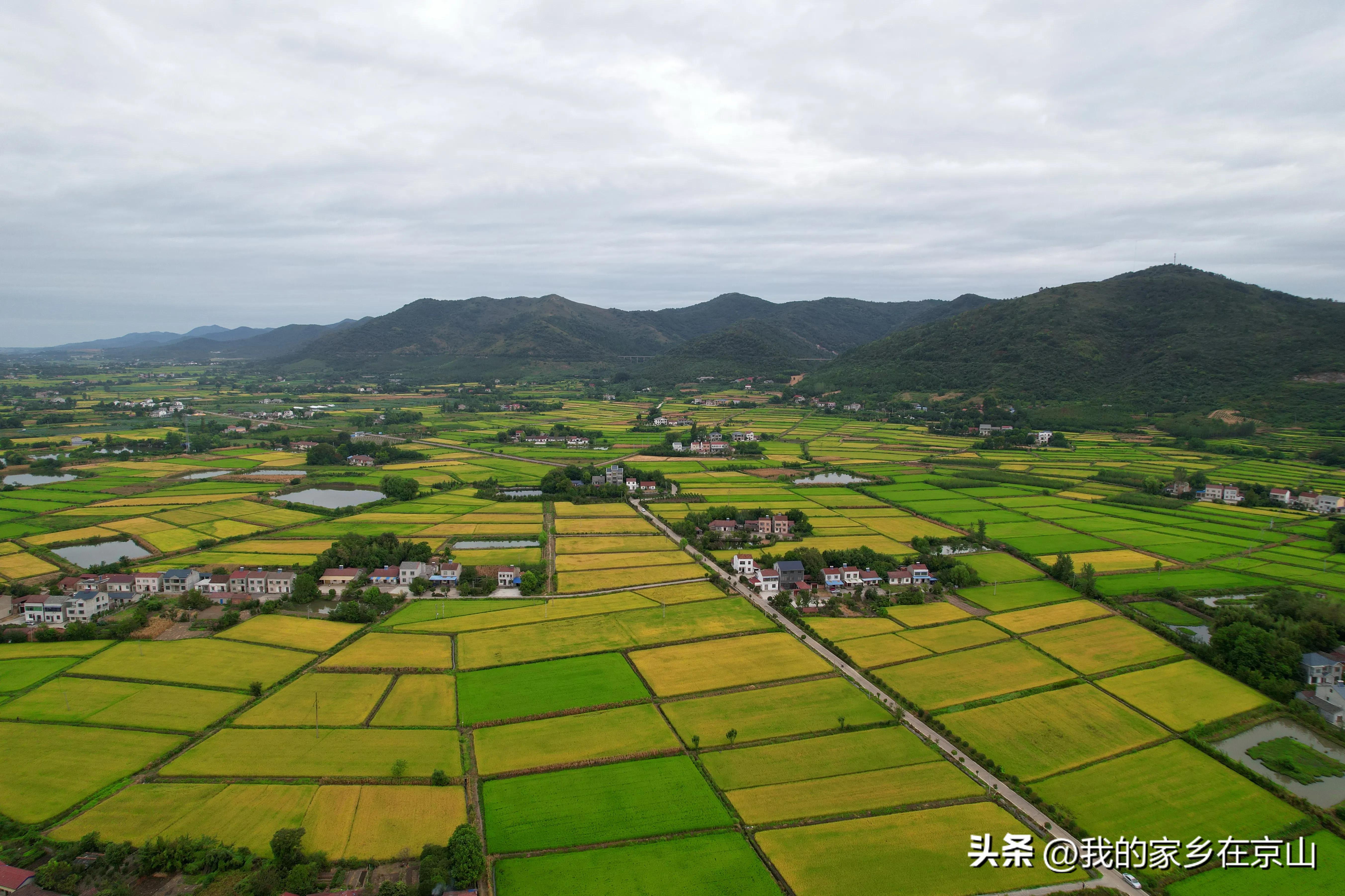 此心安处是吾乡的意思,此心安处是吾乡完整版