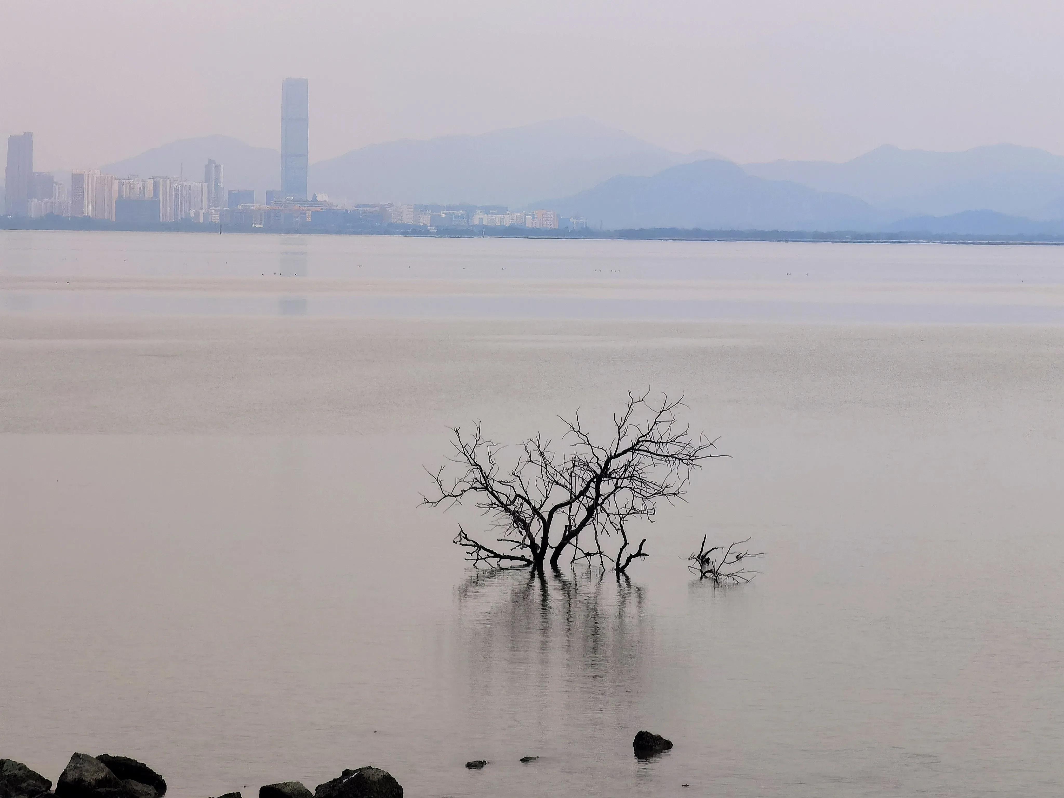 当一个人被人骗了该怎么办,当一个人被欺骗多次就没有信任了