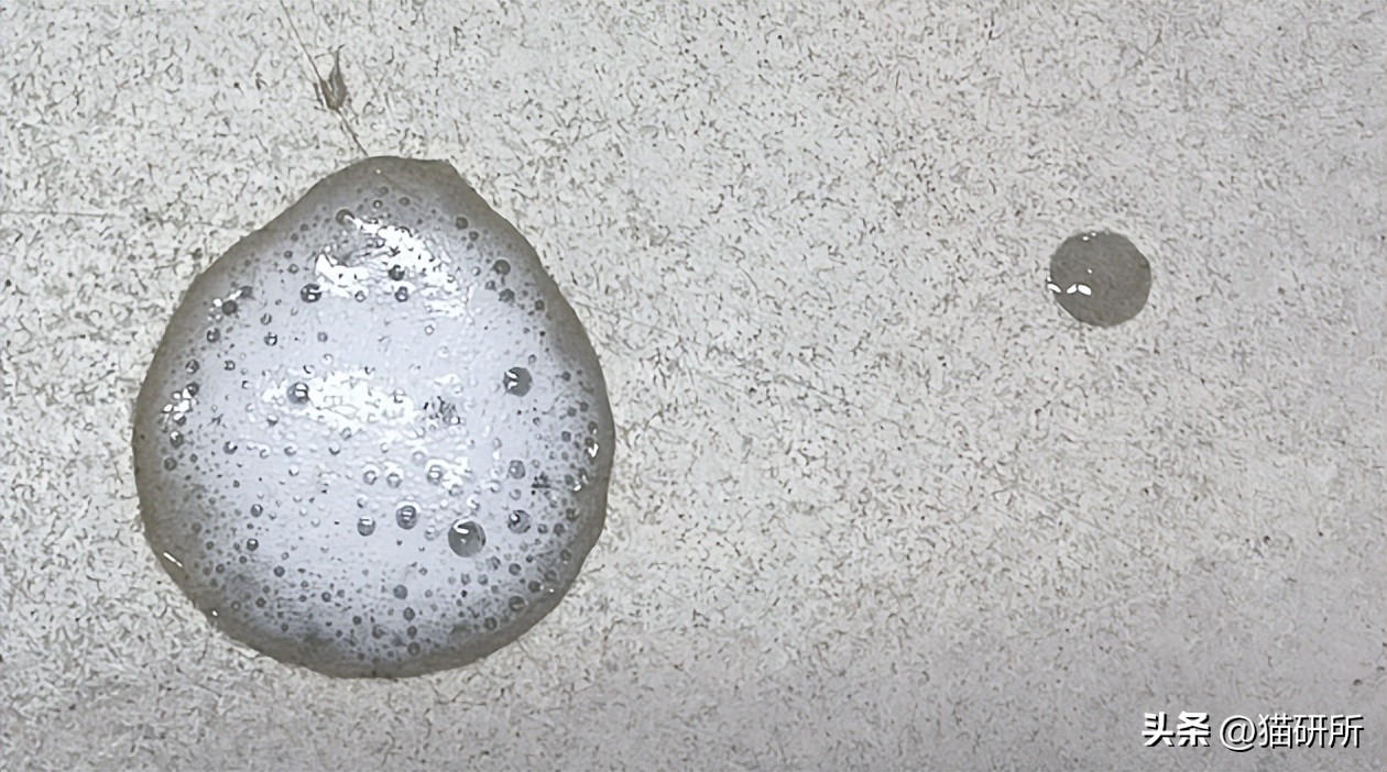 猫咪呕吐物判断表图解,怎么判断猫咪呕吐物是不是血