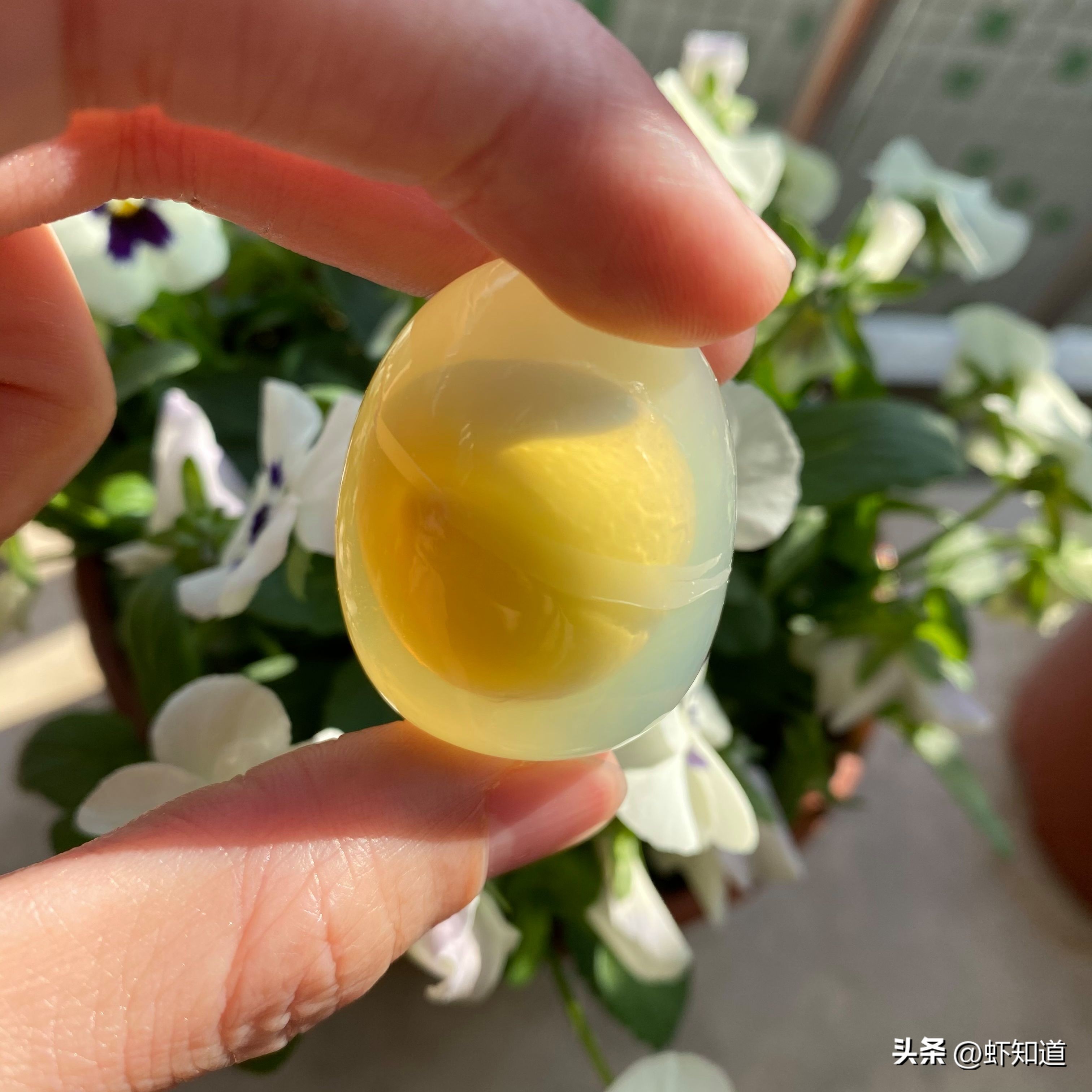 哪种蛋白质对人体最有营养,哪种蛋营养高质量高