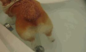 这6条女性生理知识,骗你太久了!