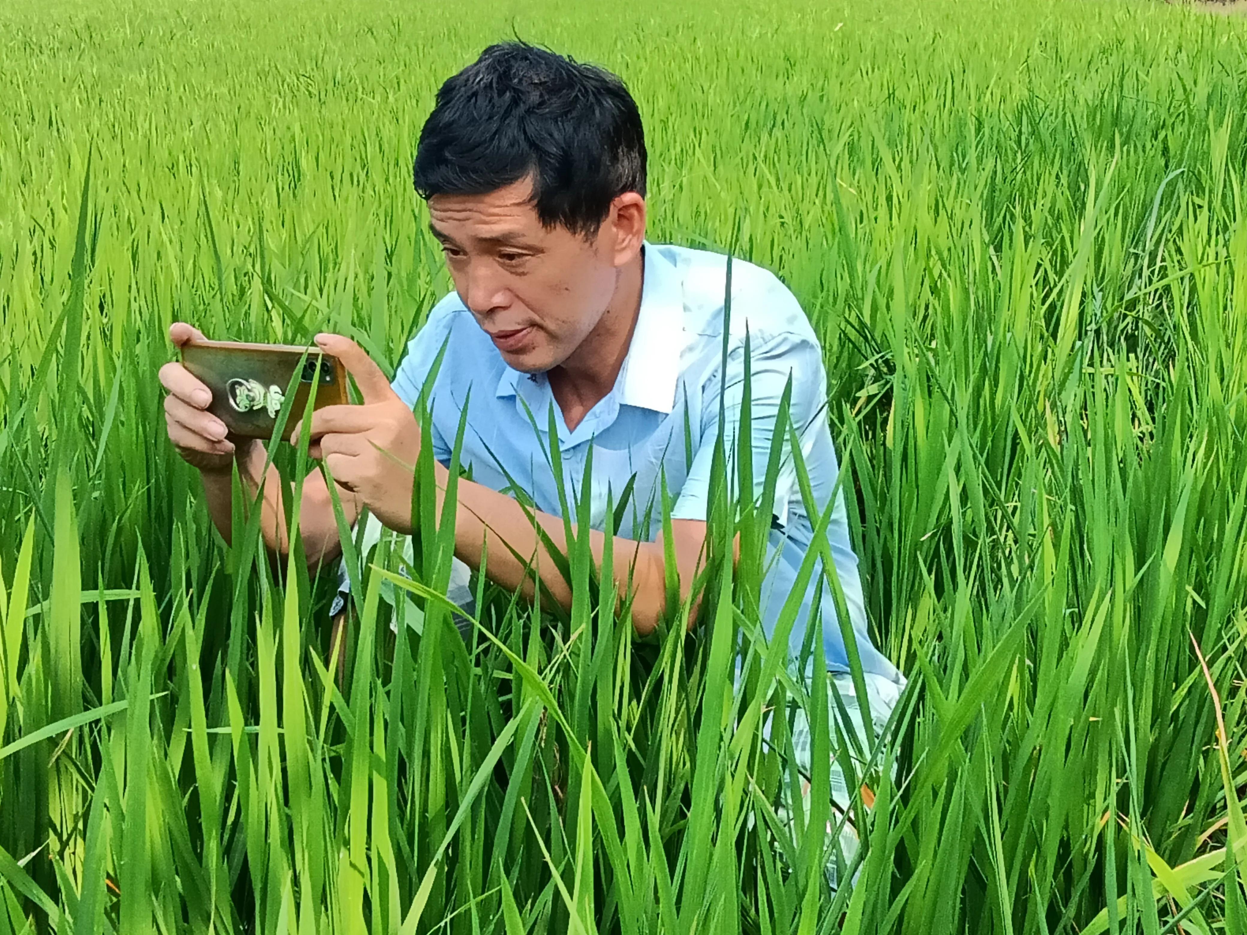 农村人是最美的劳动人,农民是最轻松的职业