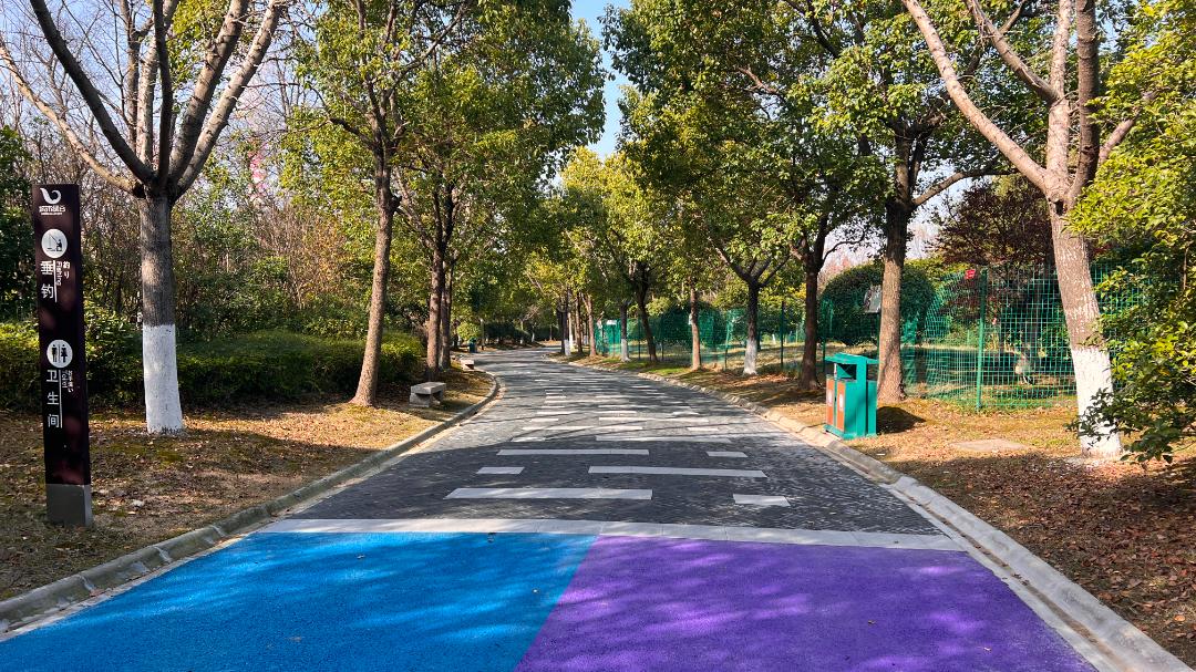 公园全民健身项目有哪些,全民健身传递健康快乐的生活方式