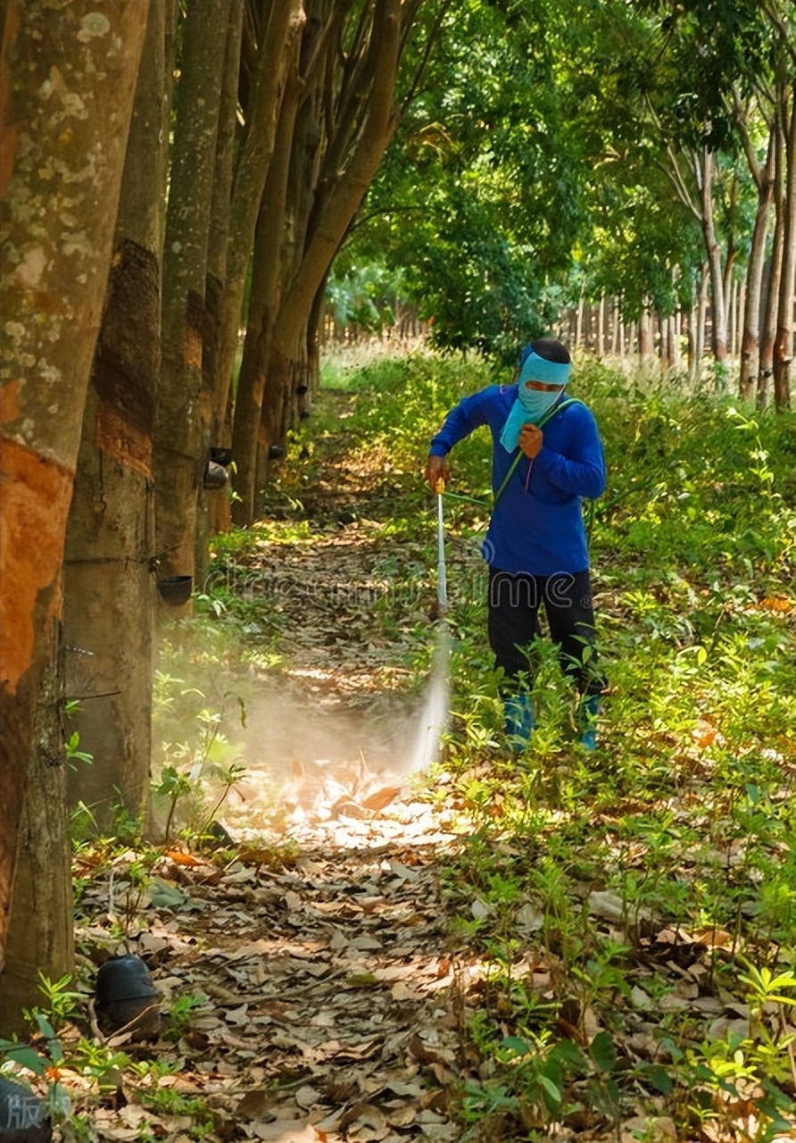 海南农垦农场是全民所有制吗,海南农垦农场现状