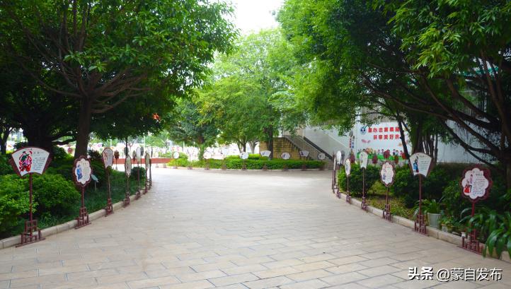 文明校园风采大赛作品视频,文明校园展示活动