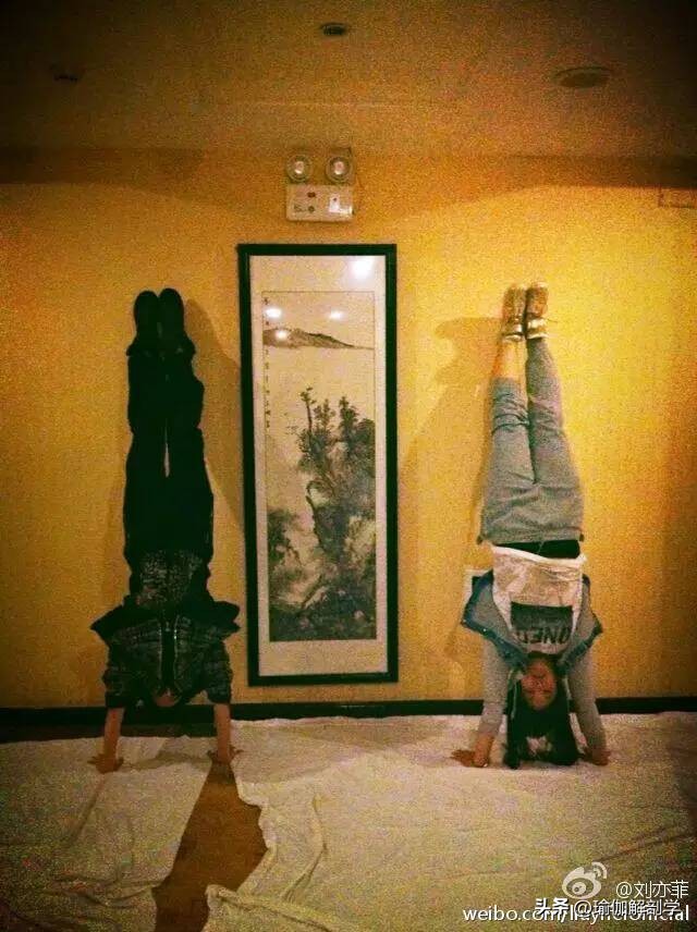 跟着神仙姐姐刘亦菲去有风的地方,跟着刘亦菲打卡有风小院