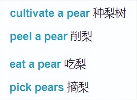 小学英语单词打卡,小学英语单词默写打卡