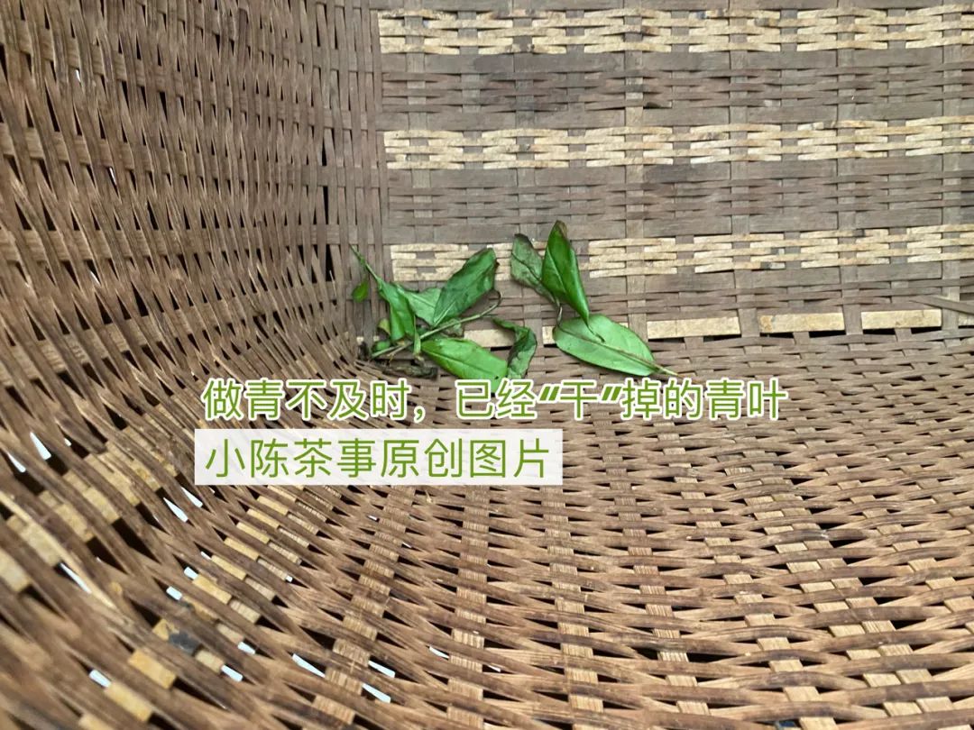 乌龙桂花香茶和兰花香有什么区别,玉兰花茶有香味吗