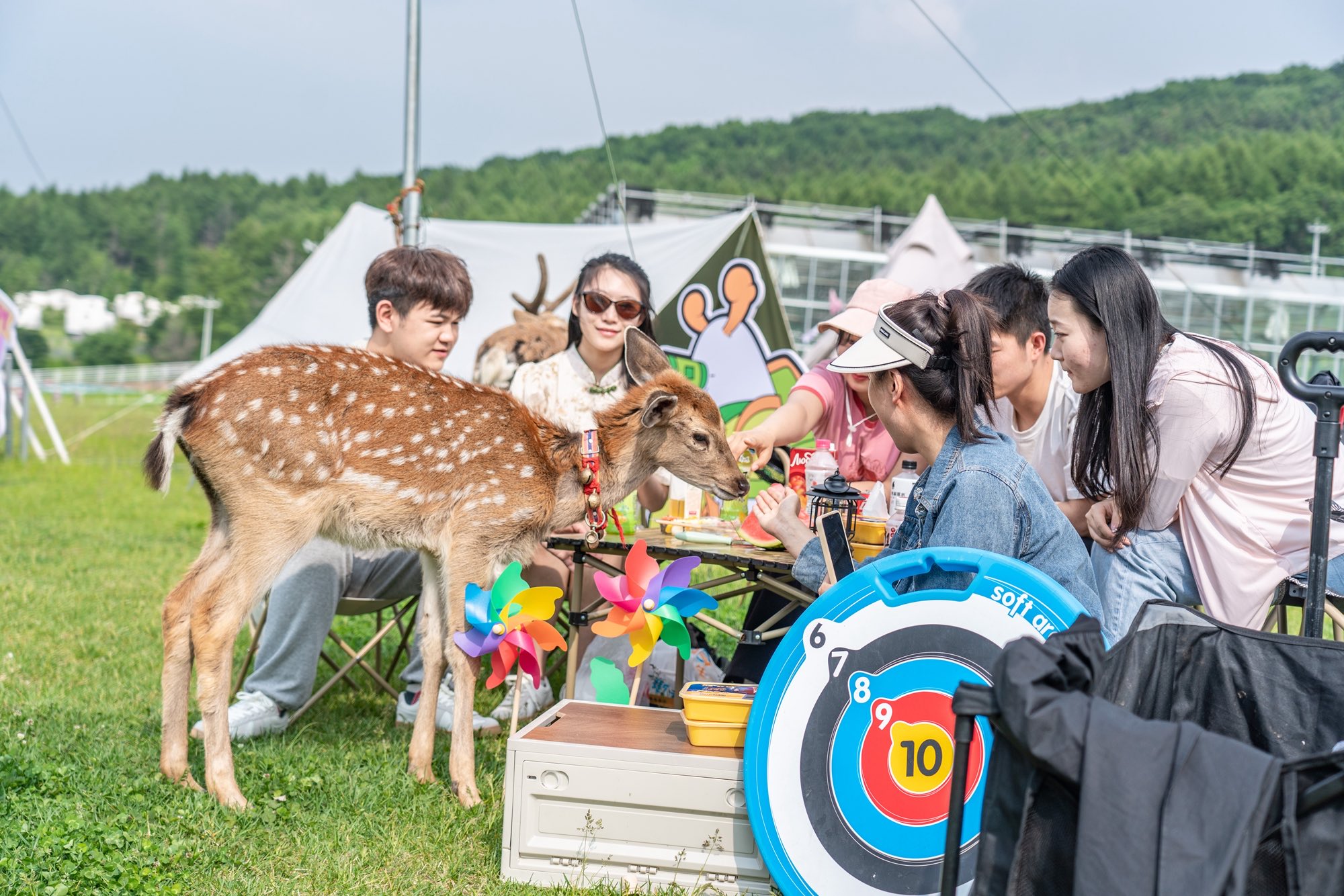 最热的端午节攻略,端午节最佳玩法