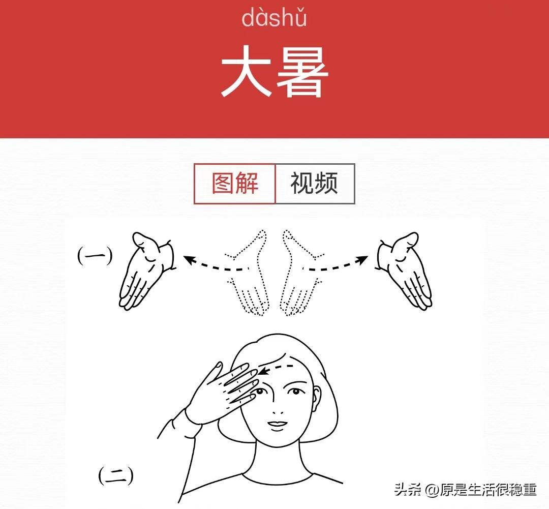 二十四节气歌幼儿手语完整版,节气的手语