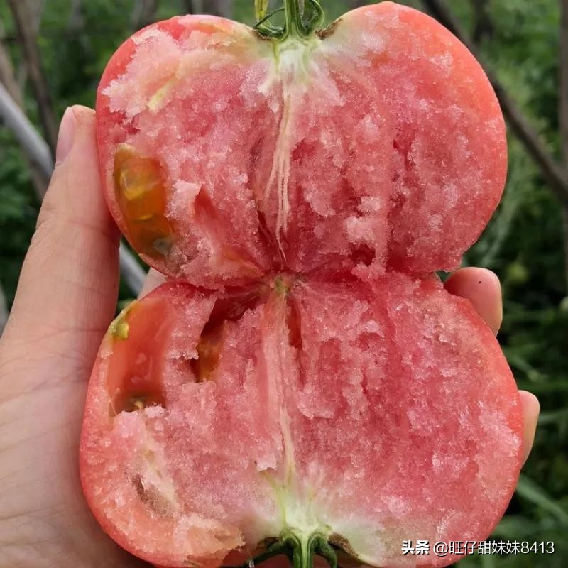 6种正在消失的水果,近年消失的水果