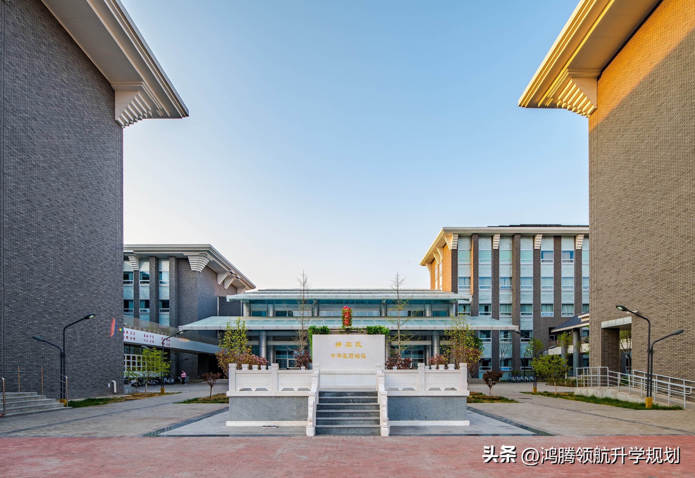 北京中医药大学2021专业录取分数,北京中医药大学本科二批录取线