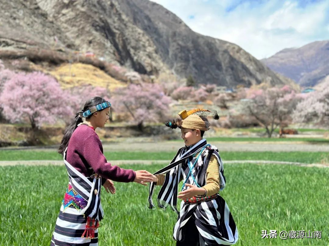 山南的变化,关于山南的问题