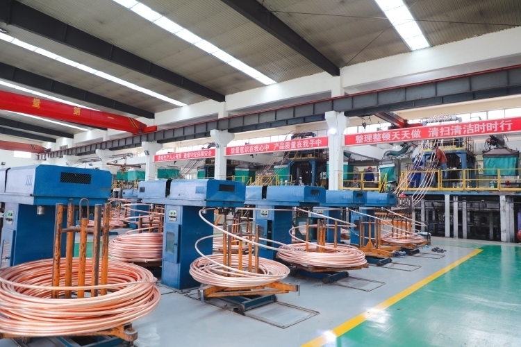 县区着力增强产业科技创新能力,科技赋能创新高地宁晋县