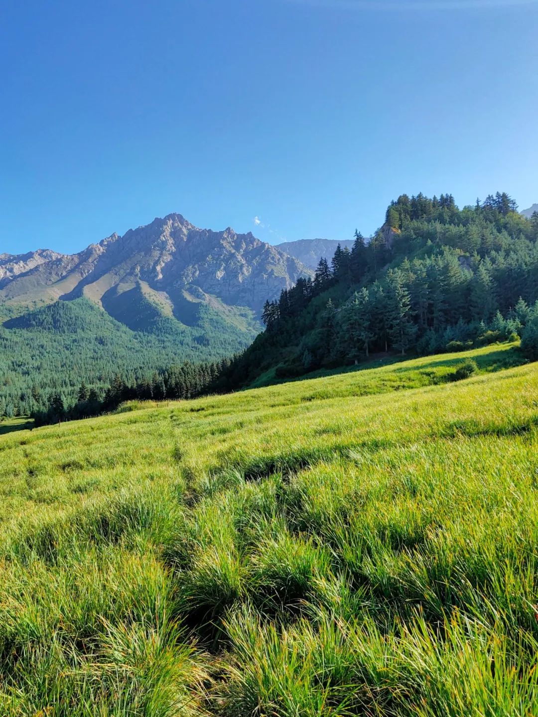 甘肃张掖有多少极致风光,甘肃张掖城市风光