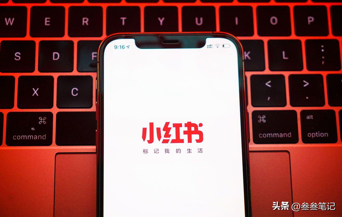 保姆级小红书开店设置,小红书保姆级教程