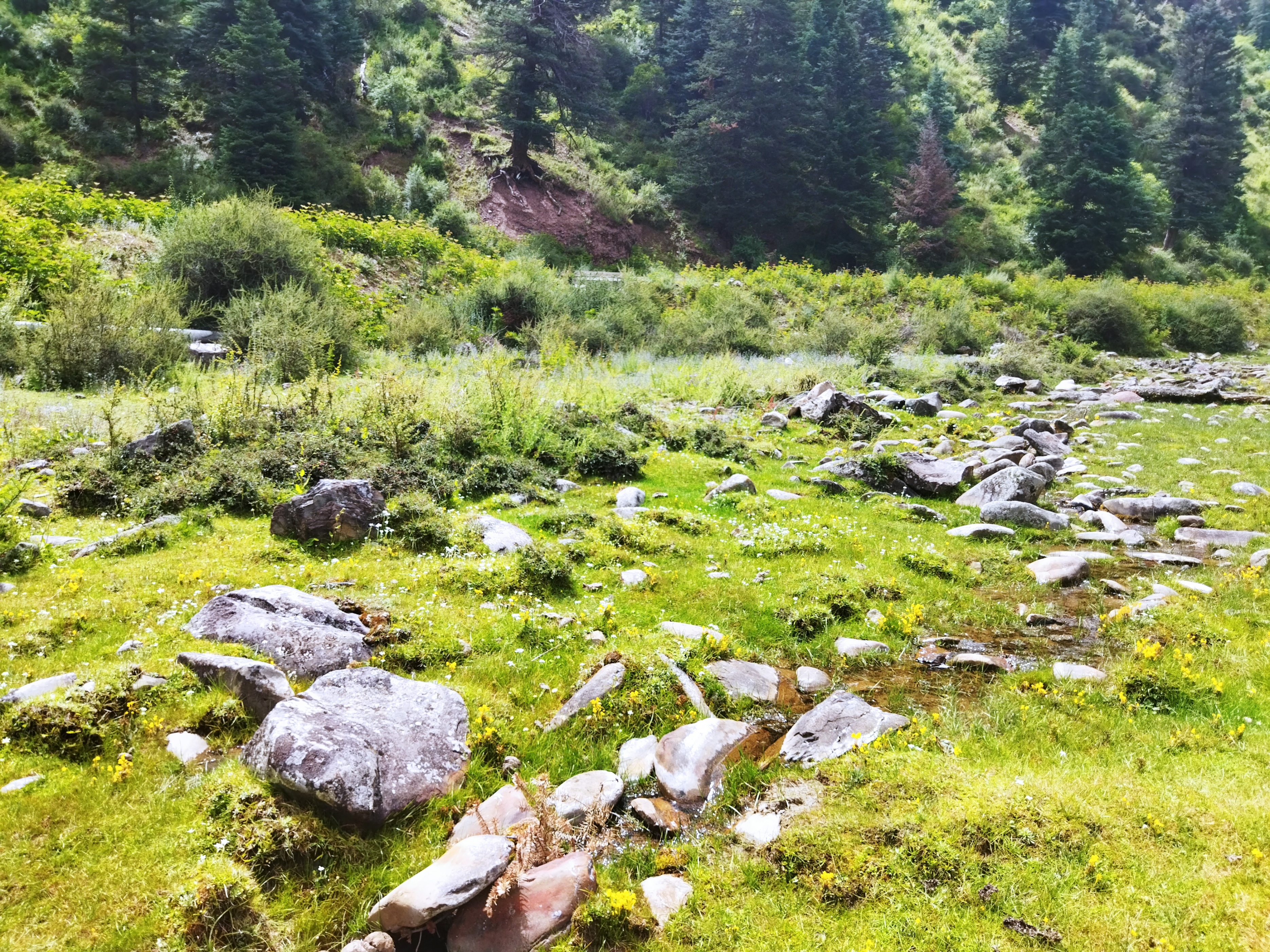 四川旅游攻略12月稻城亚丁,新都桥鱼子西攻略