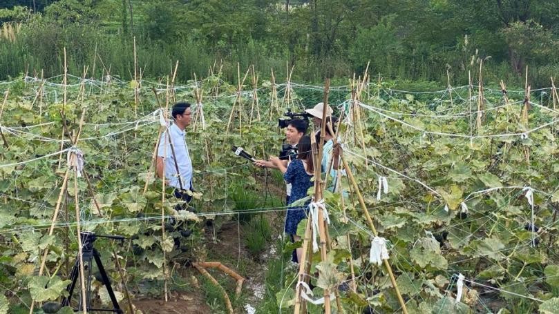 消费帮扶助力乡村振兴,消费帮扶助力乡村振兴视频推介会