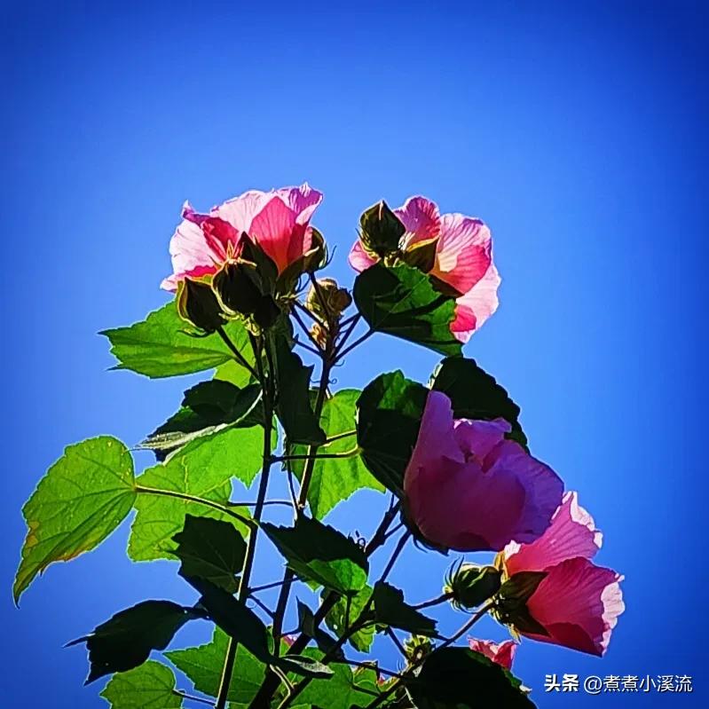 反流性食管炎自我调理,我的反流性食管炎治愈经历