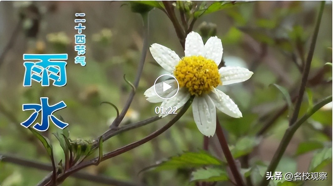 点亮时代文化之光,点亮中华优秀传统文化的智慧之光