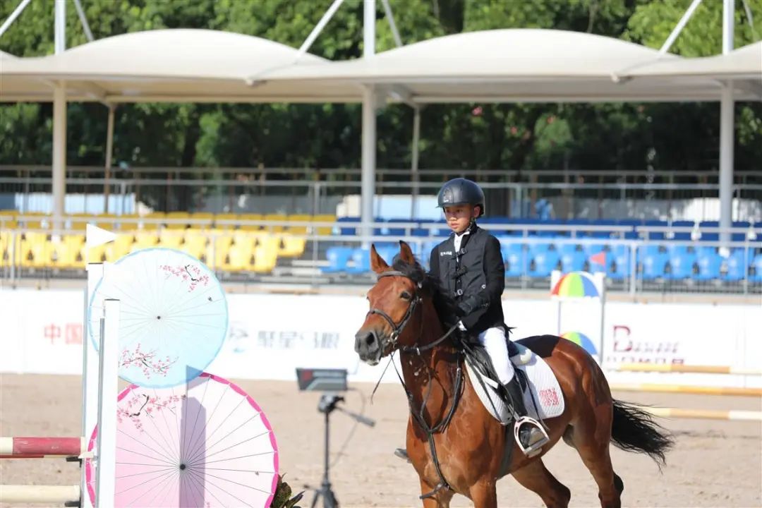 马术比赛参赛条件,马术赛事中国
