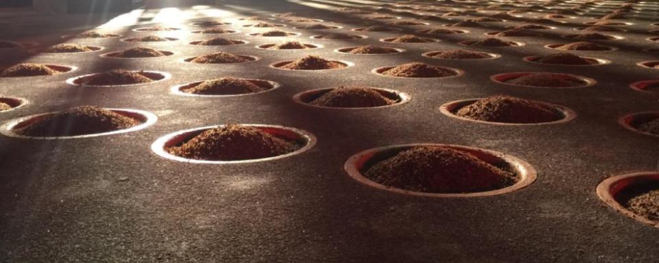 酒曲可以决定酒的口感和香味,白酒的酒曲小知识