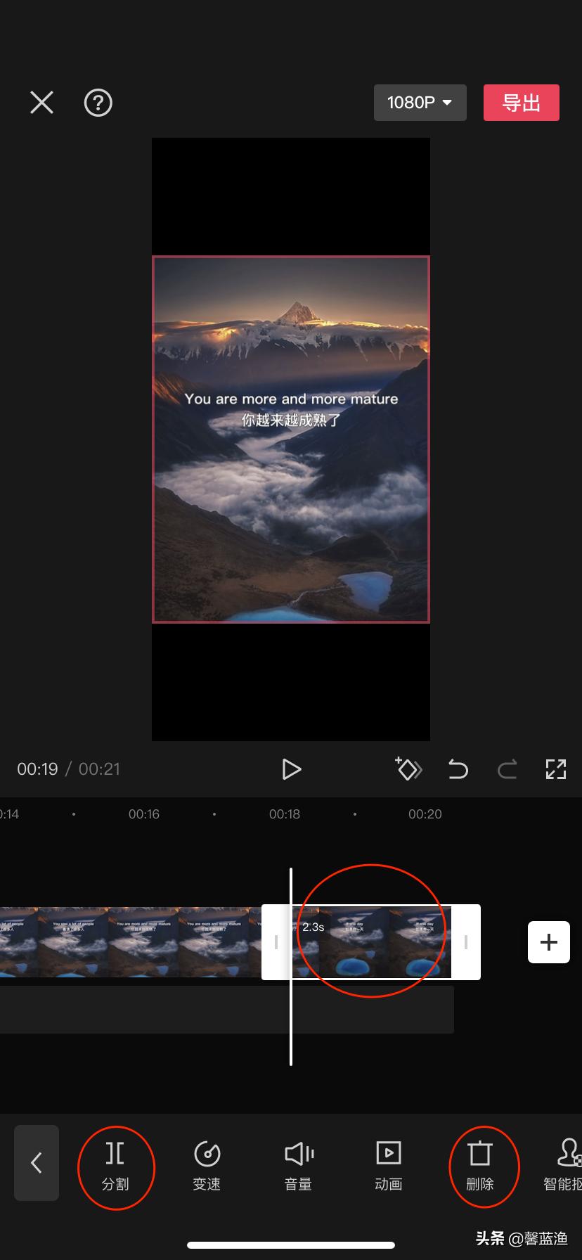 喜欢的视频没保存找不到了,喜欢的视频不能保存然后转发