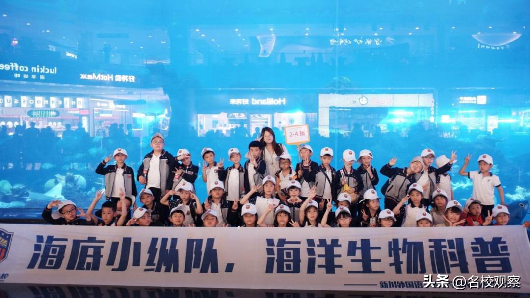 蔚蓝做苍穹，鱼儿变繁星！新川学子，走进浩海立方，探秘无限海洋