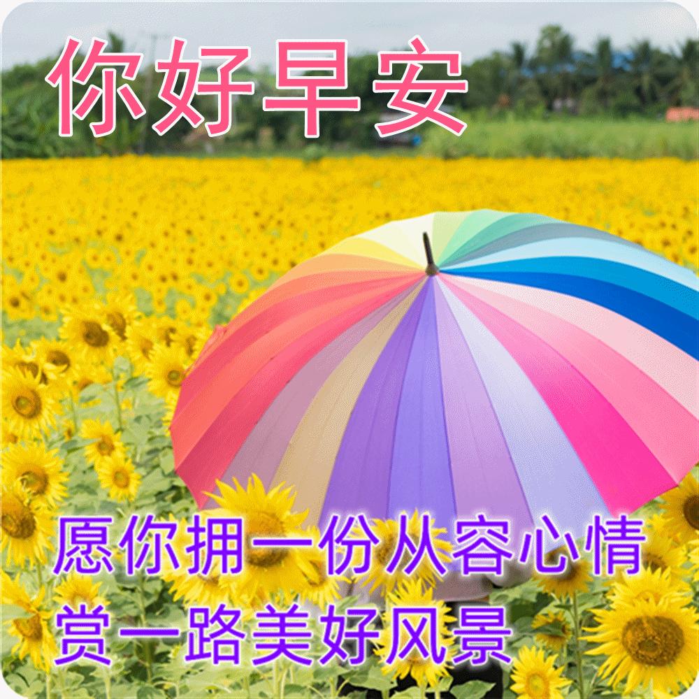 早上好大雪节气的问候暖心图片,今日大雪节气祝福早上好图片