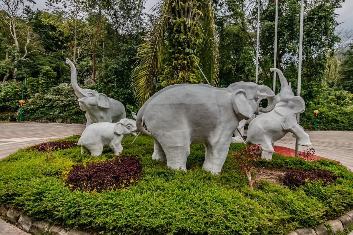 西双版纳值得旅游的地方,高品质西双版纳旅游