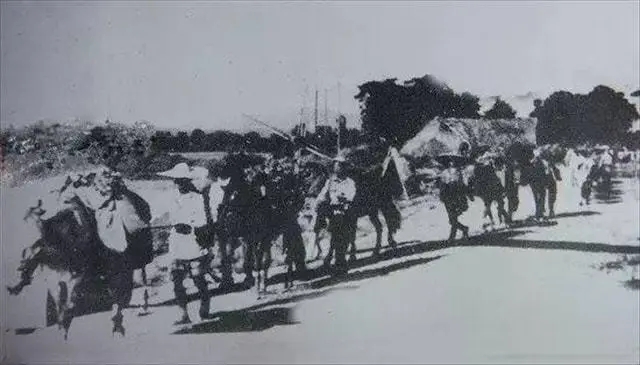 抗战老兵被埋60年,62年大别山剿匪事件