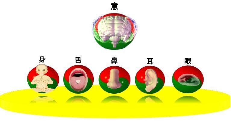 涓浗浼犵粺浜斿痉淇韩鏂囧寲,涓崕浼犵粺浜斿痉淇韩鏂囧寲