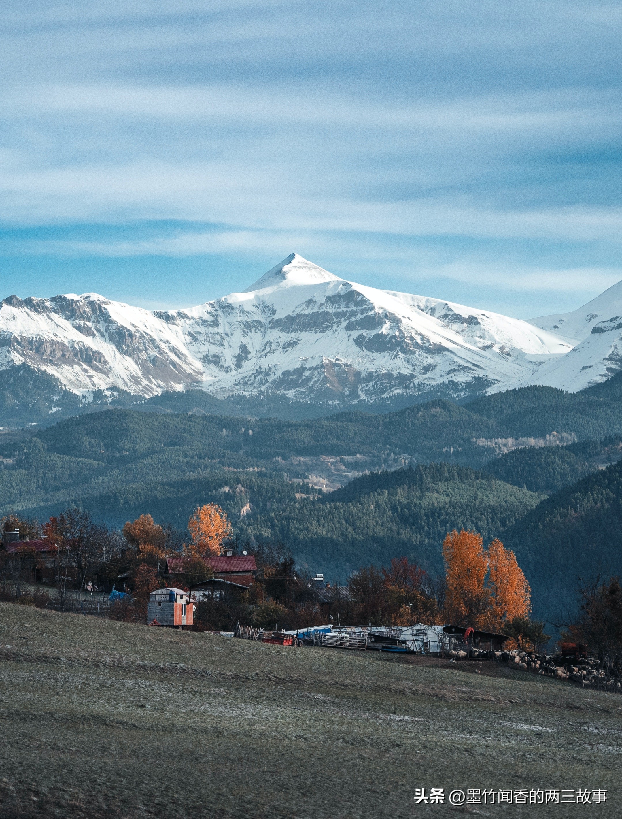 一个中国姑娘，如何去了全世界税最高的国家德国打工（一）
