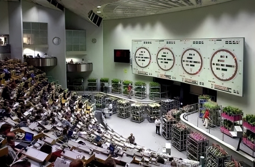 英式竞标技巧,英式拍卖和荷氏拍卖差异在哪