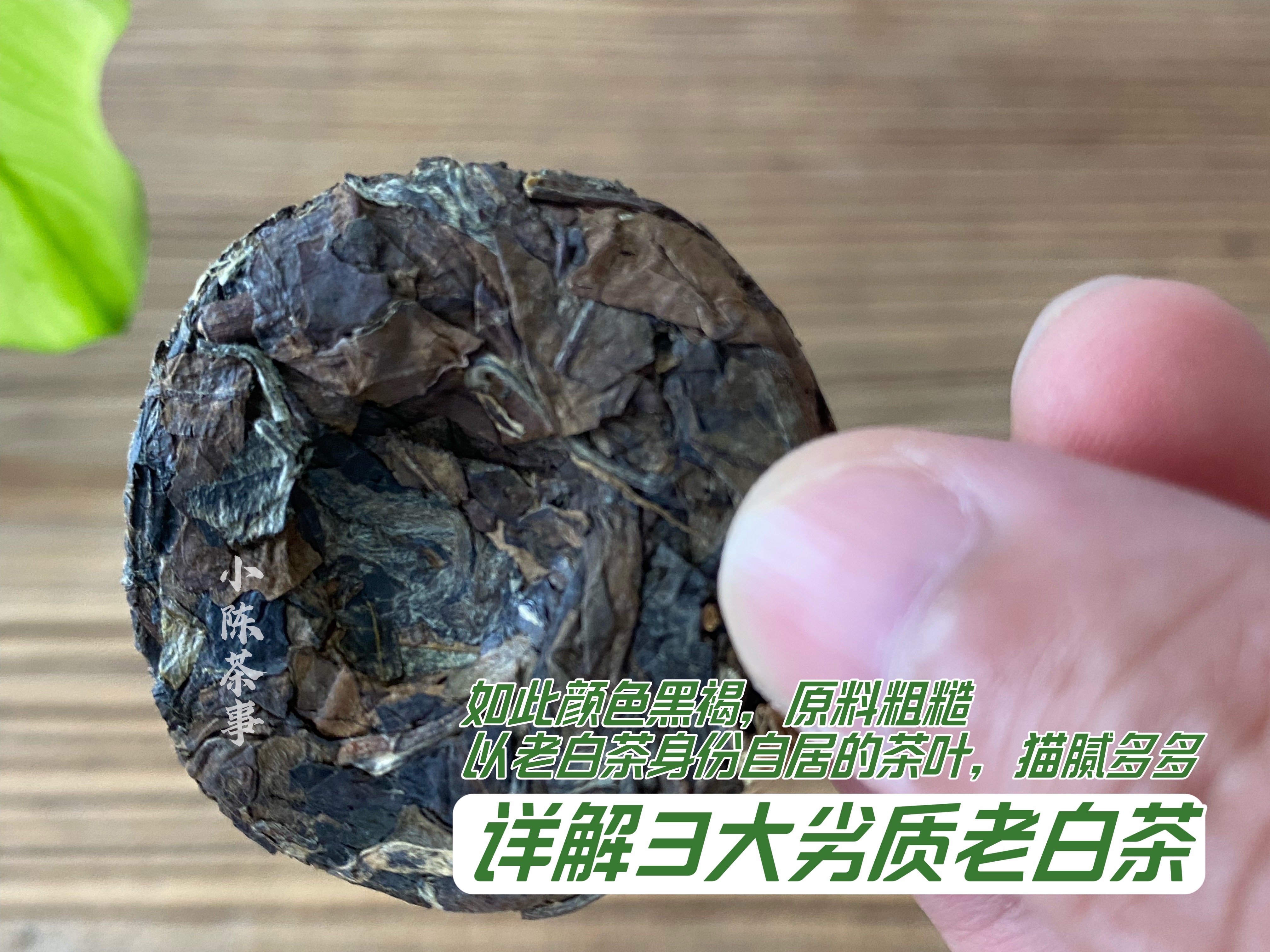 如何挑选白茶茶饼,买茶怕被坑