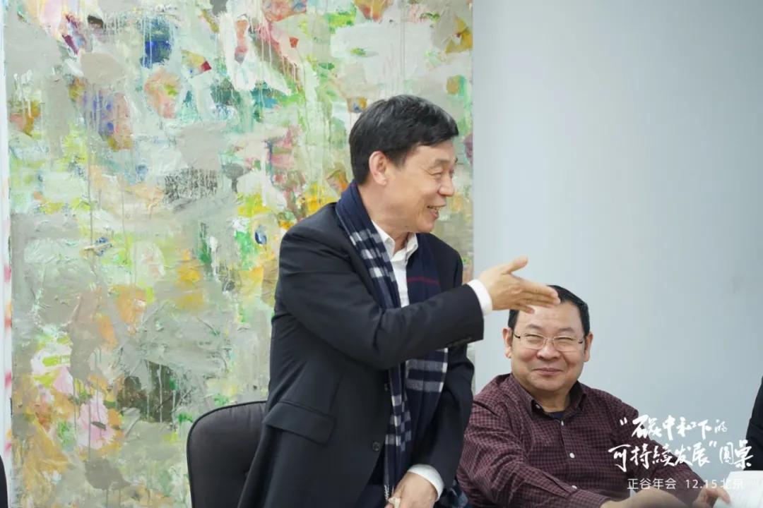 专家讲碳中和怎样实现,专家谈碳中和